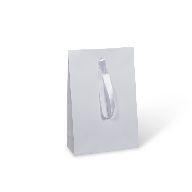 Small Ribbon Accessory Bag